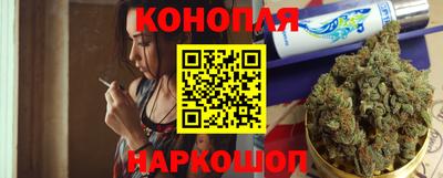 шишки Ставрополь