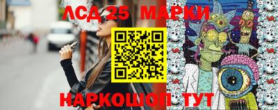 шишки Ставрополь
