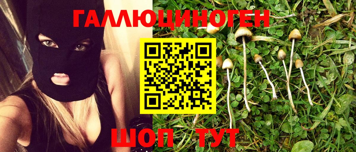 Галлюциногенные грибы Magic Shrooms  Псилоцибиновые грибы Magic Shrooms  Новороссийск  Вход с VPN 